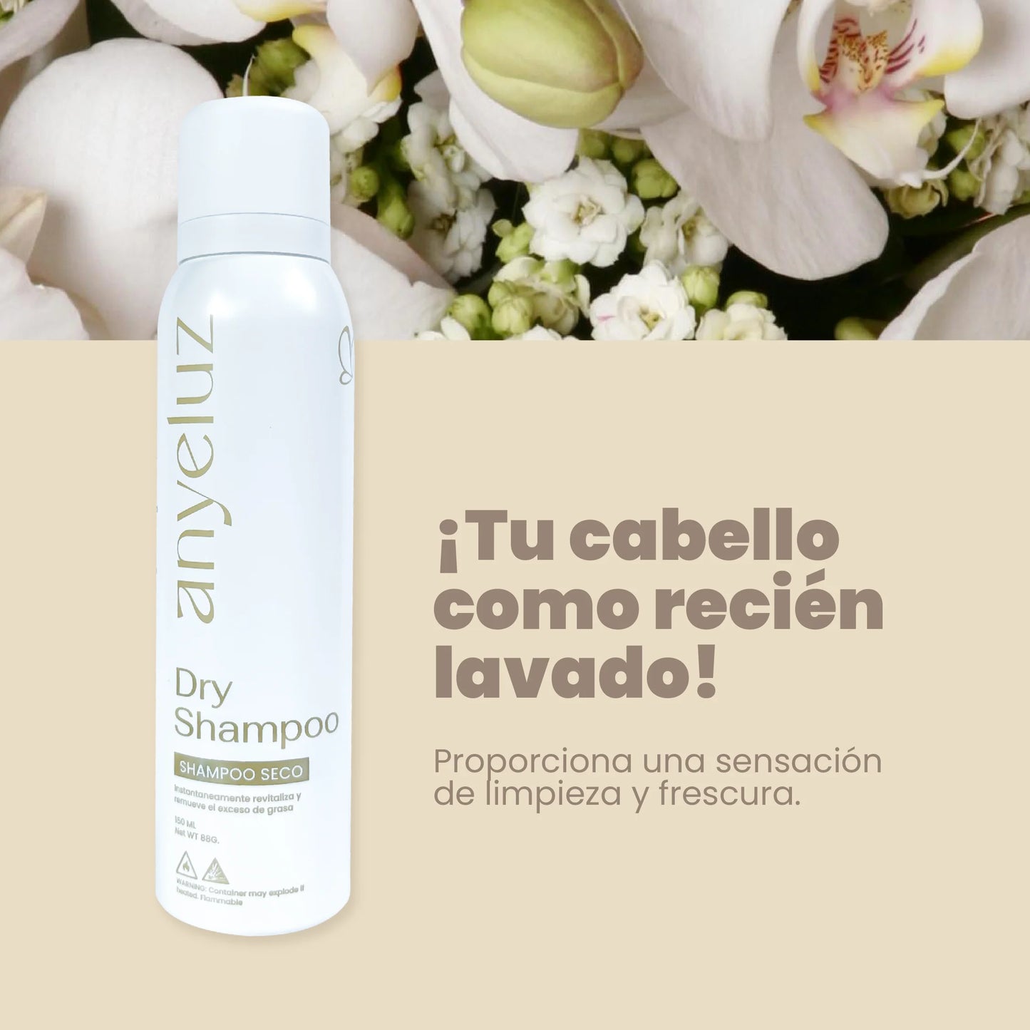 Dry shampoo-Shampoo en seco