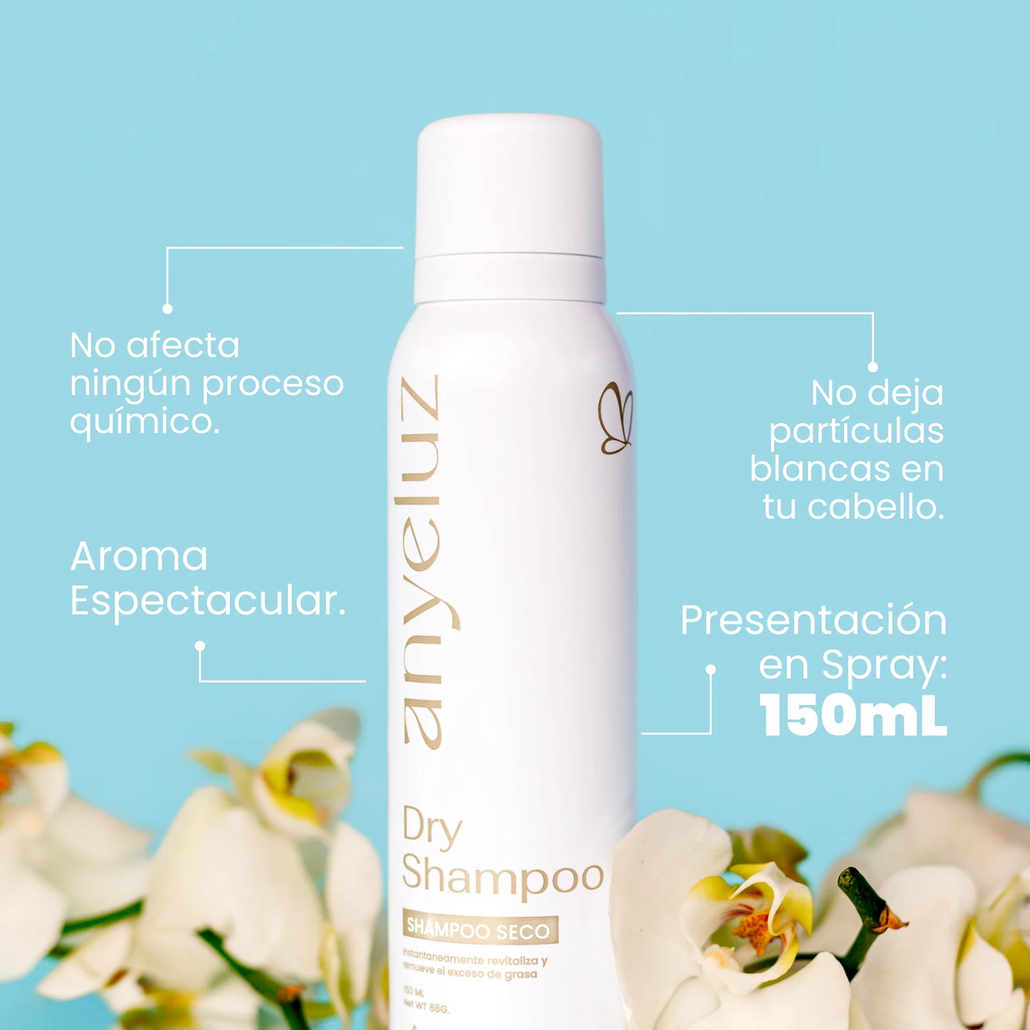 Dry shampoo-Shampoo en seco